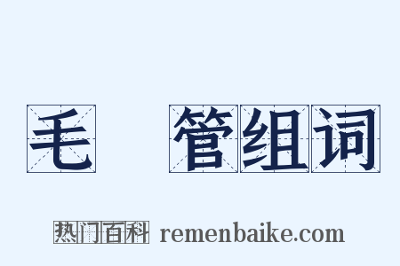 毛細管组词是什么意思的图片